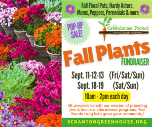 2026 - Fall Mum Flyer
